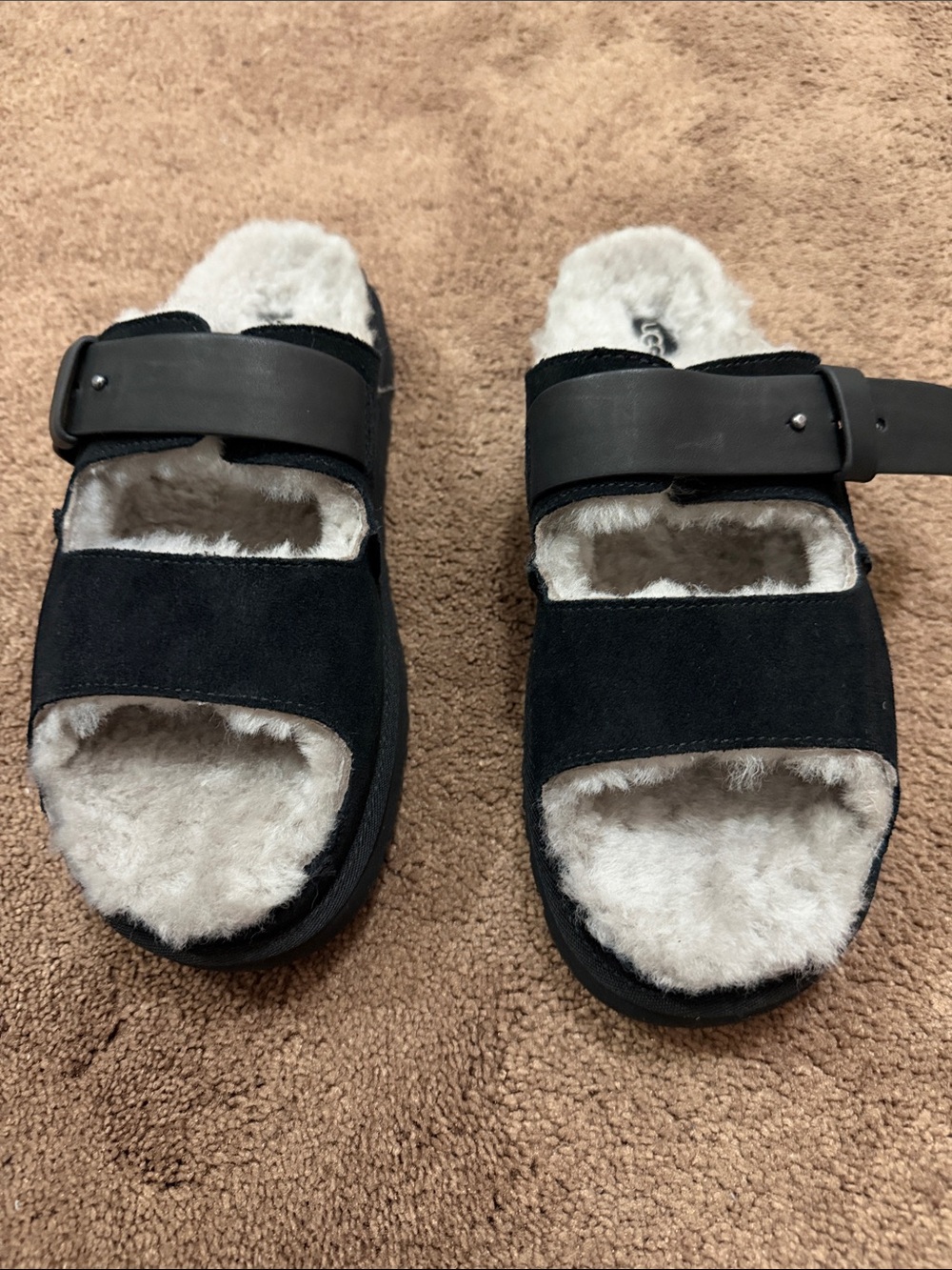 Women Ugg size 12